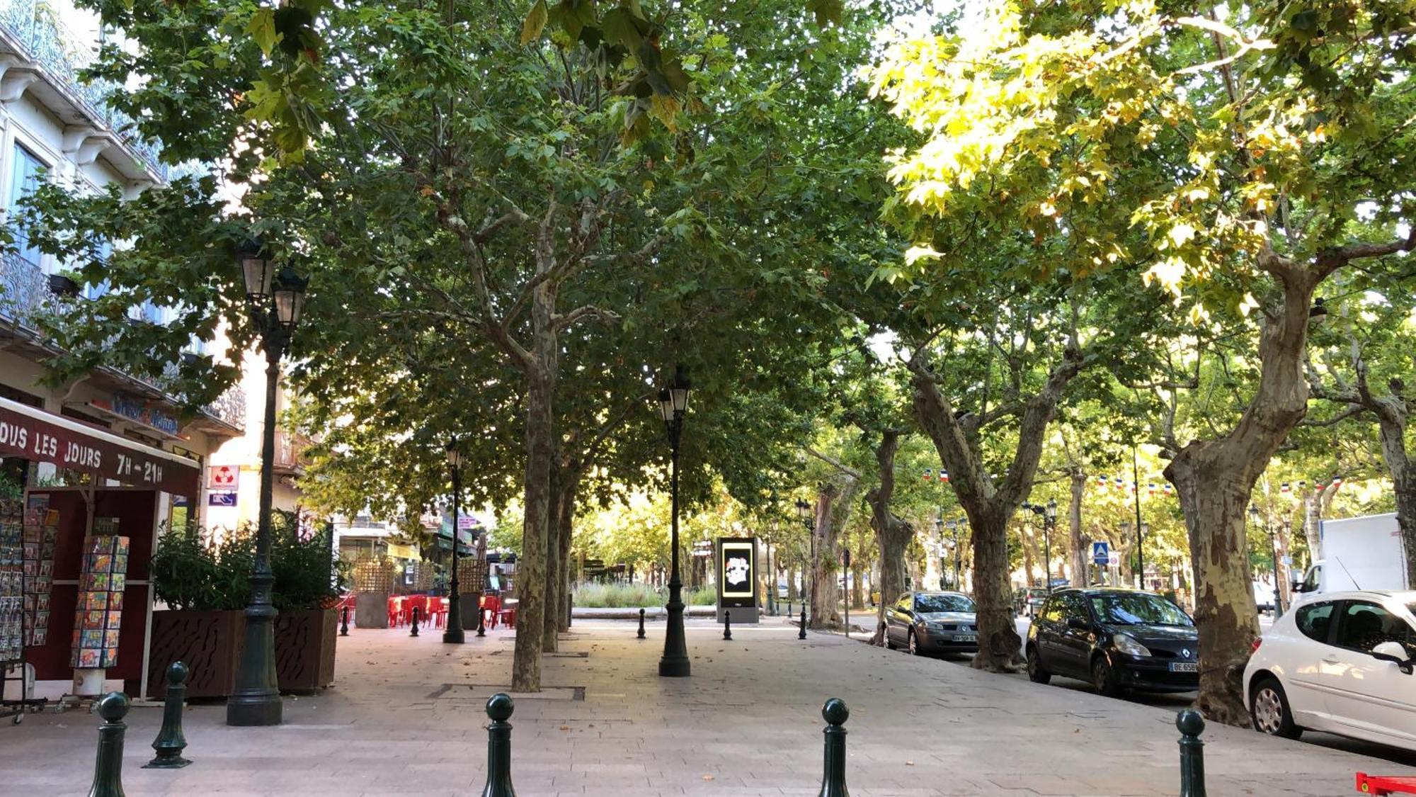 Appartement Les Platanes Du Centre